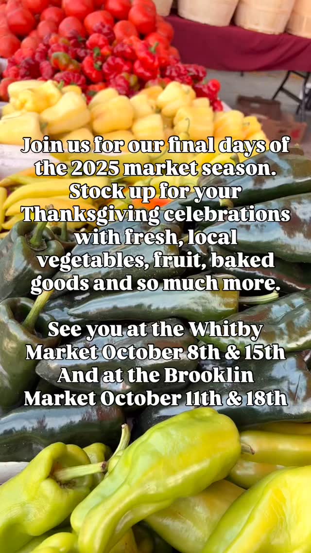 🍂The Whitby Farmers Market has just 2 more
dates left at both locations!!
🍁
Visit us for your Thanksgiving essentials
at The Whitby Market Wednesdays
October 8th and 15th
405 Dundas Street West
outside of the Whitby Public Library
9am till 3pm
AND at The Brooklin Market Saturdays
October 11th and 18th
3 Vipond Road
Municipal lot 9
Across from the Brooklin Library & Community Centre
9am till 2pm
🍁
#outdoormarket
#whitbyfarmersmarket
#whitbyfarmersmarketinbrooklin
#ontarioproduce
#locallygrown
#canadian
#durhamregion
#livemusic
#supportlocal
🍁