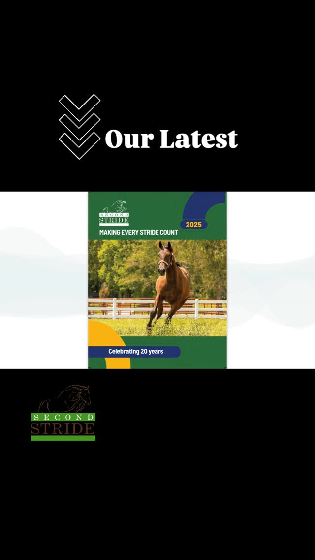 See full document at the link in our bio. Client @secondstride was looking for a way to report on highlights, accomplishments and funding over the course of the year while, at the same time, educating the reader about the organization's role, purpose and meticulous process.
The result was this annual-report-style booklet. Designed October 2025