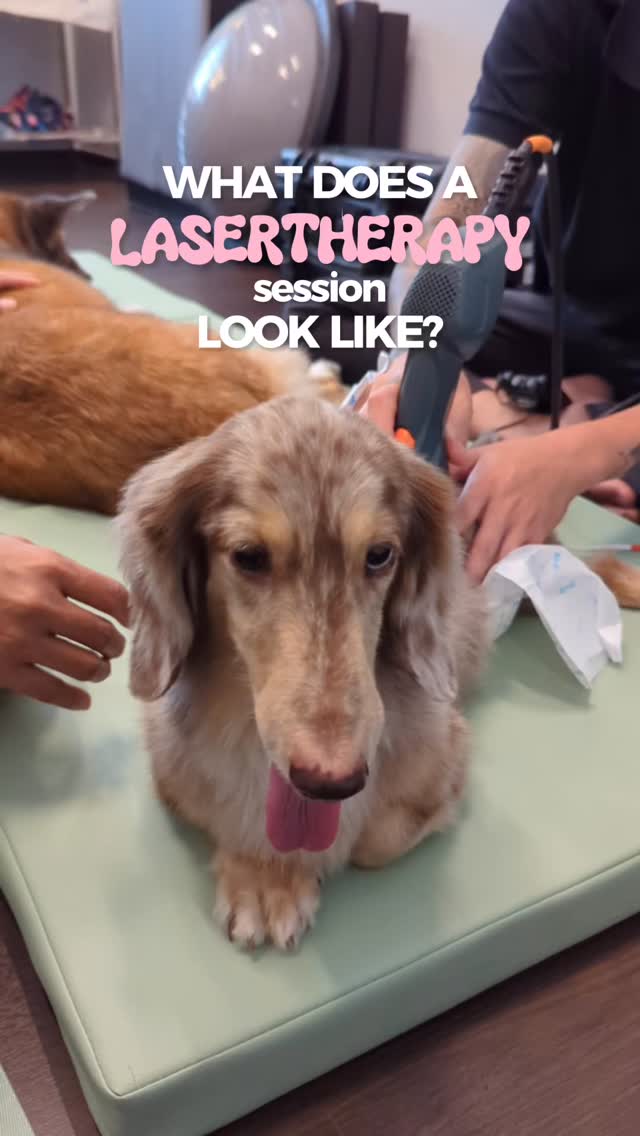 Never heard of laser therapy? Now you know what it does!
📍57 Jalan Tua Kong