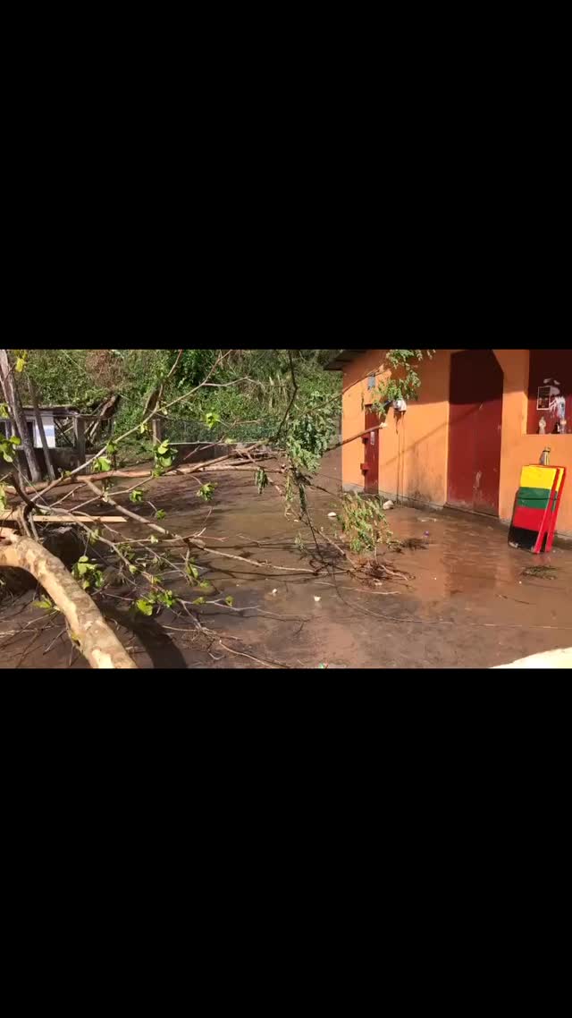 “First I’ve ever seen this guys” Footage from local raftsman Chris in Lethe, Jamaica — a bamboo raft rests in the middle of the street, carried there by the floodwaters that rose during the hurricane. It’s a powerful image of how severe the flooding was and how deeply it’s impacted the community.
#HurricaneJamaica #JamaicaStrong #Resilience #Community #RiseAgain #HurricaneMelissa #BambooRafting