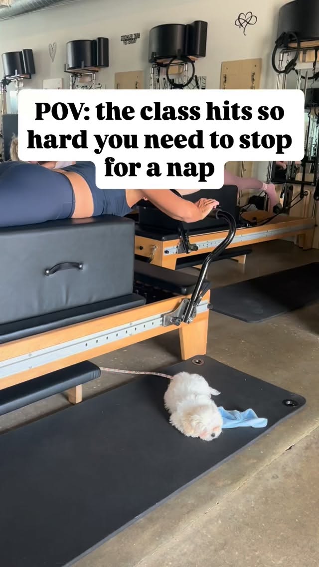 Just know we will never turn down a puppy moment. 🐶