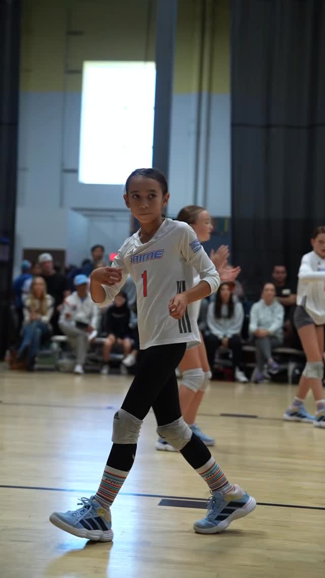 Prime 12 adidas ??✨
.
.
#3stripelife #teamadidas #primevolleyballclub #primevolleyballclub #primevibes #primefam #alwayslearning #bettertogether