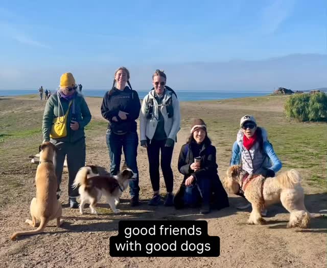 Another great field trip with the Canine Behavior Crew at Pt. Isabel. Insightful dog and human body language discussions. Interested in learning about dog behavior?
www.caninebehavioreducation.com
