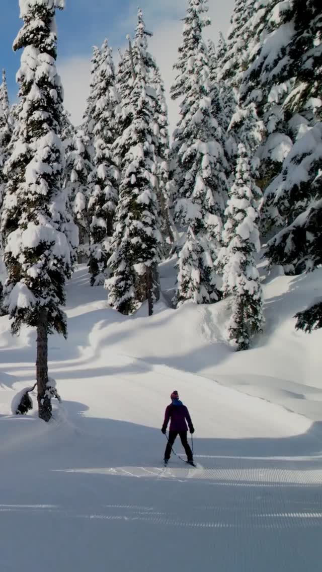 Holidays feel even more special when the setting is unforgettable. Snow-dusted alpine streets, tropical islands where the New Year begins barefoot, and centuries-old markets glowing with lights and mulled wine are all waiting.
Give yourself the gift of a holiday filled with joy, not logistics. Message us today to learn more!
.
.
.
.
#FestiveTravel #HolidayLuxury #LuxuryTravelAdvisor #CuratedTravel #novaknows #sovirtuoso #LuxuryTravelAdvisor #LuxuryVacation #luxurytravel #traveladvisor #ExclusiveExperiences #LuxuryHotels