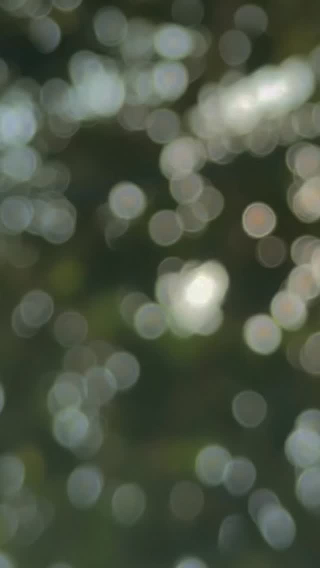 In winter, nature reminds us of the power of pause: the fields lie fallow, the soil rests, and life quietly replenishes itself to grow stronger in the year ahead.
In the same way, this season is our invitation to slow down, reflect, and restore, to nurture ourselves, our communities, and the land that sustains us.
Our team is currently taking time to rest and recharge. We wish you a happy holiday season and look forward to how we will all grow in the new year.
#top50farmers #t50f2026 #T50F #regenag #regenerativeagriculture regenerativefarming soilhealth knowyourfarmer futureoffarming europe