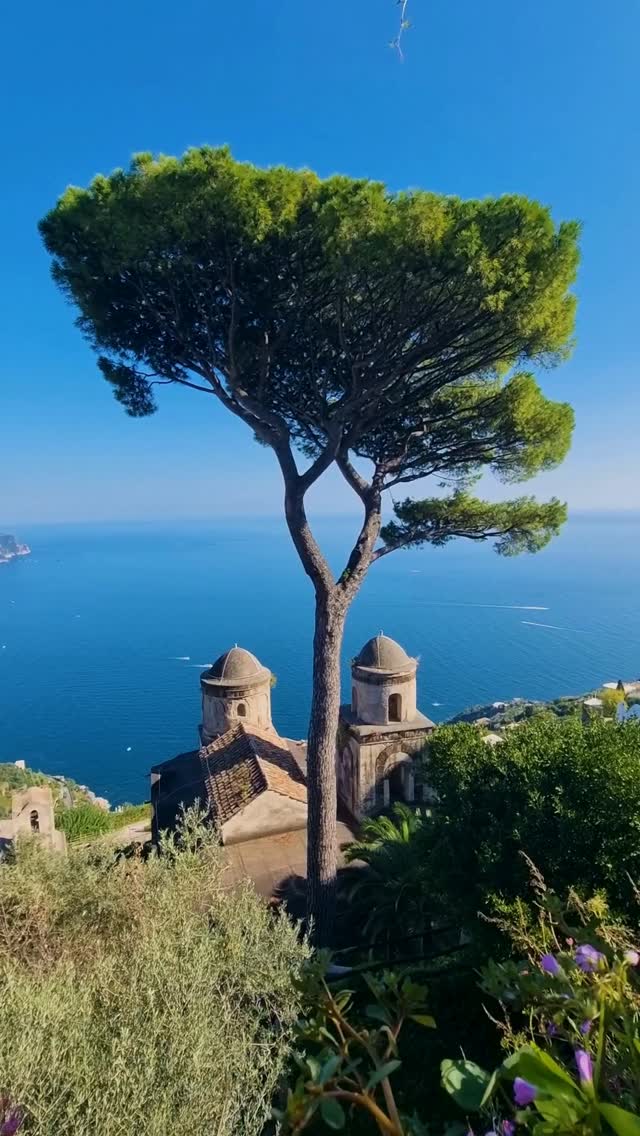 The Mediterranean isn’t one destination; it’s a collection of moods.
Cliffside terraces glowing at sunset, yachts pulling into tiny harbors, seafood that never tastes better than when it’s eaten by the sea. With so many coastlines to explore, the question isn’t if you’ll go, but how you’ll want to do it.
We’ll help you design the Mediterranean trip that feels like yours.
#novaknows #sovirtuoso #LuxuryTravelAdvisor #LuxuryVacation #luxurytravel #traveladvisor #ExclusiveExperiences #LuxuryHotels
.
.
.
.
#MediterraneanLuxury #EuropeanEscape #SeasideLuxury