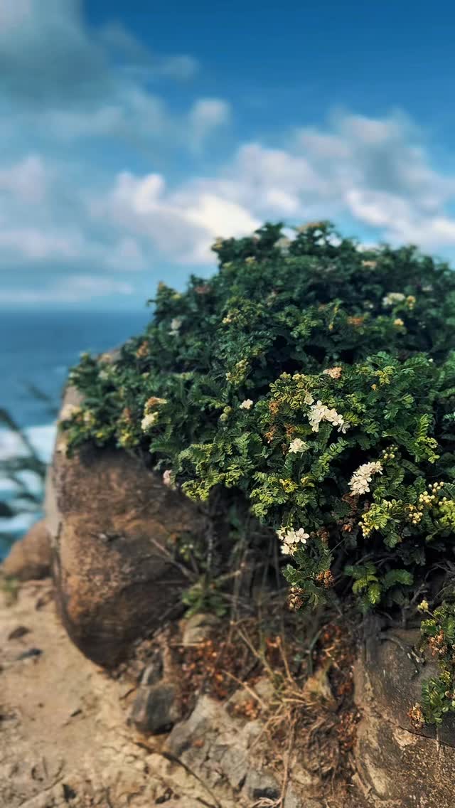 2025 : the album š
#recap #2025 #2026 #newyear