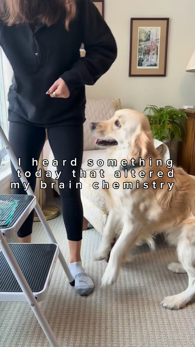 Resilience isn’t a personality trait — it’s a skill.
Just like a muscle, it’s built through small, safe reps of “tension” your dog can handle: waiting at thresholds, holding place, practicing calm around distractions, learning to recover after seeing a trigger.
We can’t avoid the stresses of life, so we must learn to tolerate being uncomfortable.