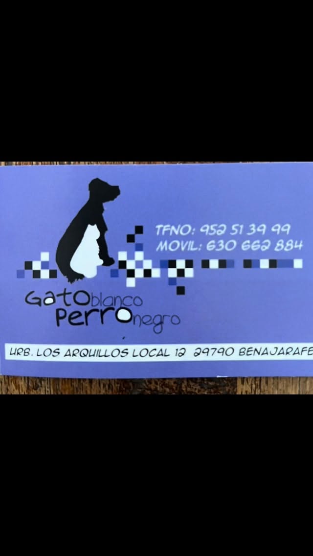 Vandaag ging Chiquitita voor haar eerste behandeling! ( maar niet onvoorbereid 😉)
Een prachtige route langs de kust en ik ben nog even gestopt om Chiquitita de zee te laten zien. Iets wat ze nooit eerder zag 😉
Eenmaal aangekomen werden we heel hartelijk ontvangen. Een kliniek naar mijn hart, aangezien er ook enkele straatkatjes binnen in een bedje mogen slapen. 🙏🏻
Dierenarts Brenda heeft haar uitgebreid onderzocht en uiteindelijk de acupunctuurnaaldjes geplaatst. Ze liet het goed toe. Daarna moesten de naaldjes tien minuten blijven zitten, in een zo ontspannen mogelijke houding. Het viel me op dat Chiquitita zelf ook steeds meer ontspande.🪷🧘
Na afloop mochten de naaldjes er weer uit en maakten we de mooie route terug naar huis 😉
En bij terugkomst op de parkeerplaats lag er een klein knuffeltje voor mijn autodeur. Dat kan geen toeval zijn… 𝙙𝙖𝙩 𝙢𝙤𝙚𝙩 𝙜𝙚𝙡𝙪𝙠 𝙗𝙚𝙩𝙚𝙠𝙚𝙣𝙚𝙣 🍀!
Eenmaal thuis was iedereen blij haar weer te zien en Chiquitita ging meteen weer spelen alsof er niets gebeurd was.
𝙉𝙪 𝙠𝙪𝙣𝙣𝙚𝙣 𝙬𝙚 𝙖𝙡𝙡𝙚𝙚𝙣 𝙢𝙖𝙖𝙧 𝙃𝙊𝙋𝙀𝙉 dat dit iets voor haar gaat doen. Volgende week weer!
Dan pakken we haar bikinietje in en nemen we toch even een strandje mee 😍😉
𝙉𝙤𝙜𝙢𝙖𝙖𝙡𝙨 𝙙𝙖𝙣𝙠 𝙖𝙖𝙣 :
𝙂𝙖𝙩𝙤 𝘽𝙡𝙖𝙣𝙘𝙤 𝙥𝙚𝙧𝙧𝙤 𝙉𝙚𝙜𝙧𝙤 𝙚𝙣 𝙙𝙞𝙚𝙧𝙚𝙣𝙖𝙧𝙩𝙨 𝘽𝙧𝙚𝙣𝙙𝙖 🙏🏻
#AcupunctuurVoorDieren
#SpecialNeedsCat
#ZorgMetHart
#TweedeKans
#RescueCat
FeralToLoved
Straatkatten
Dierenliefde
DierenartsMetHart
GoedeMensen
ElkLevenTelt