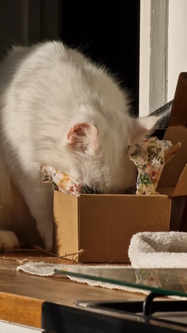 Unfortunately we cannot include Smudge with this gift set. He does not fit in the box.
Mhairi x