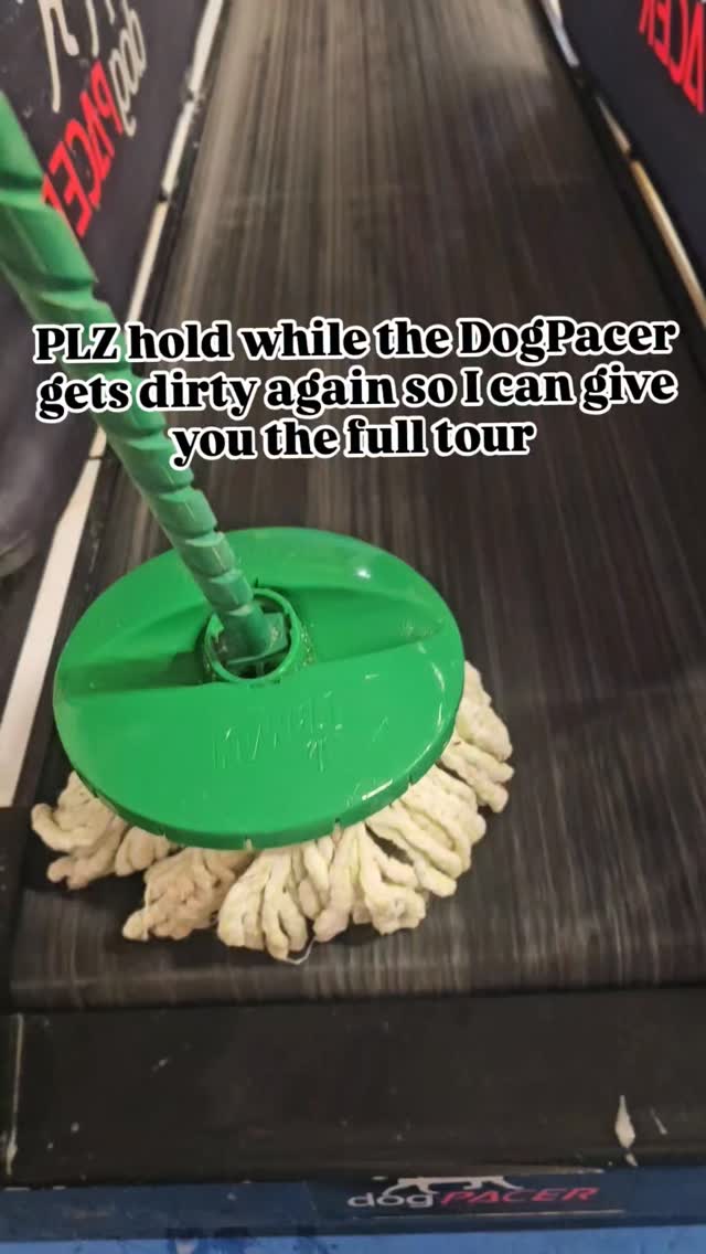 Give it like a week and it'll be dusty enough again! 🧼
#dogtraininglife #cleaninghacks #dogtrainingparadise #behindthescenes