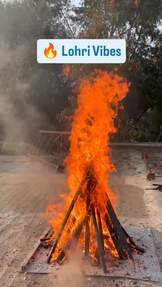 🔥 Lohri vibes at EthixElite Lifesciences Private Limited! 🔥
From festive beats to warm smiles, our corporate office celebrated Lohri with joy, togetherness, and gratitude. 🌾✨
Here’s to new beginnings, strong bonds, and a year filled with growth and positivity! 🪵🔥
🎉 Happy Lohri from our work family to yours! 🎉
#LohriCelebration #CorporateLohri #OfficeCelebrations #EthixEliteLifesciences #workplaceculture