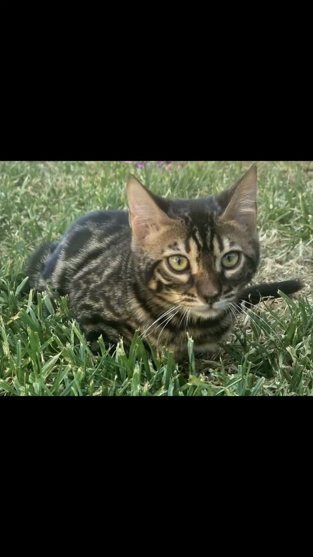 This sweet man is ready to meet his new family.