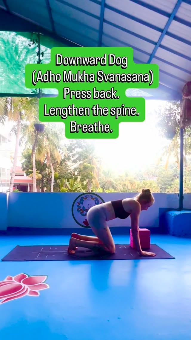 Day 20 of 31 days of yoga 🧘♀️
Downward-Facing Dog is a foundational pose that strengthens and stretches the entire body.
This pose lengthens the spine, stretches the hamstrings and calves, strengthens the arms and shoulders, and encourages steady, mindful breathing.
Return to the basics. Find ease in the effort.
#2026 #challenge #classic #downwardfacingdog #yoga