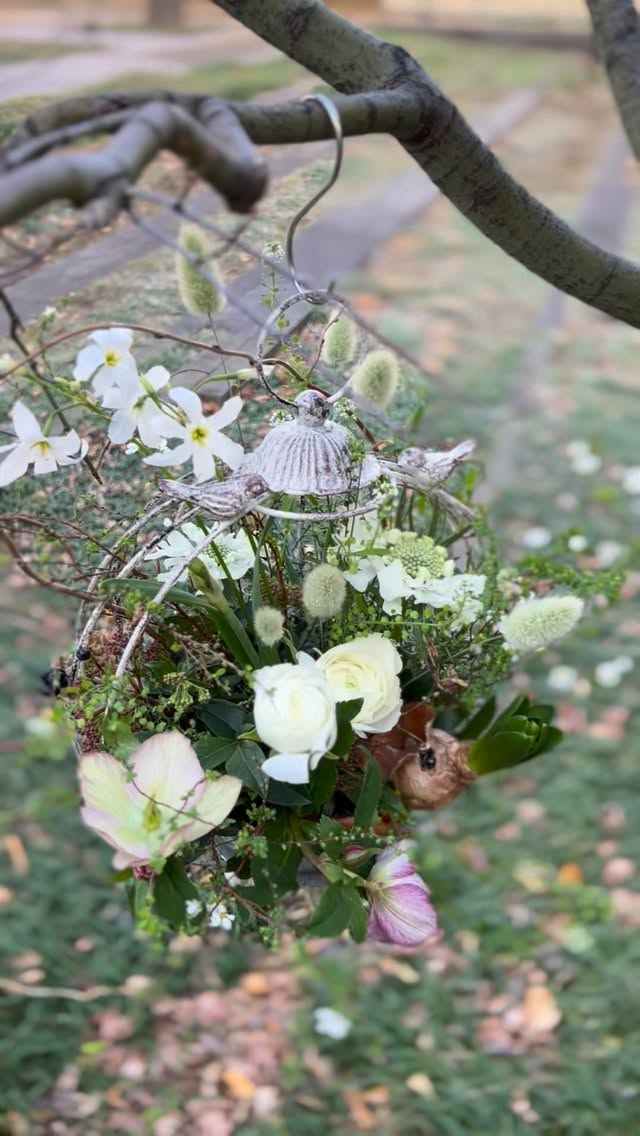 田園を駈け足🐎
馬に乗って眺めるイギリスの冬の田園風景
今年