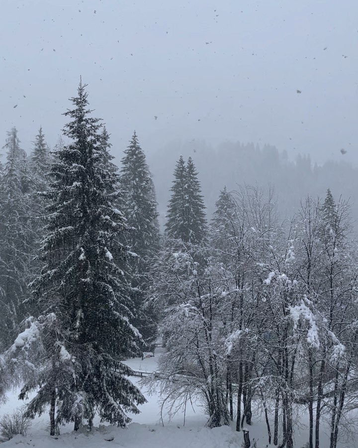 La neve qui ha una magia unica. Ci ricorda che anche nei periodi più freddi c’è sempre la bellezza da trovare.❄️