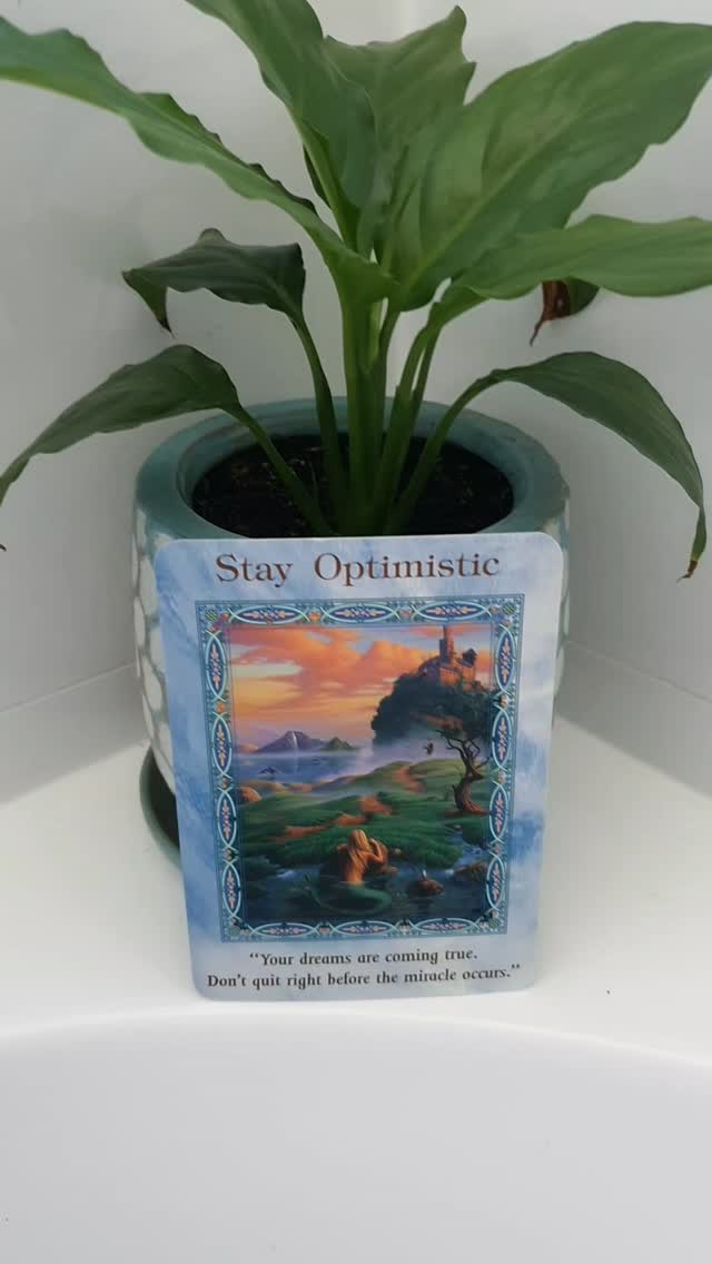 Card of the Day