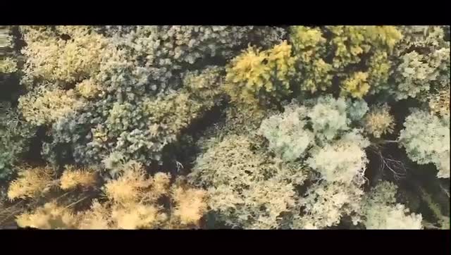 Throwback video of 2021!
So much has changed in 5 years, wow!
More accommodations, a new beautiful lounge at the pool, a very improved bar area, our amazing yoga shala..
And of course the best new addition to Deveza; our daughter Selah 🥰
Every year when we make Deveza more beautiful, it is you, our guests, that help us realize how much we’ve already created at Deveza. Seeing it though other people’s eyes helps us to zoom out and become aware of the process and progress.
So thank you, for coming to Deveza, sharing this little paradise with us!
Beautiful video by @ivanloven ♥️
.
#glampingportugal #summerholiday #familyholiday #smallscale