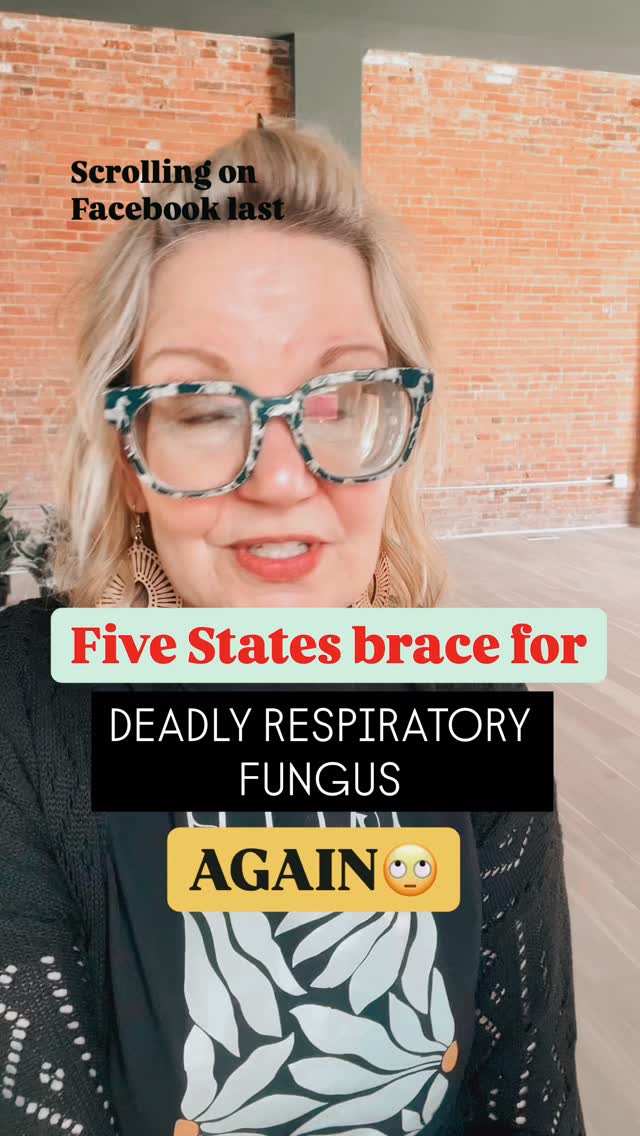 First the SNOW was a threat, now the DUST? Oh c’mon. “Health officials have highlighted the fact that the fungus is airborne, making it highly contagious and difficult to prevent from spreading. The pathogen is believed to be exacerbated by climate conditions and other environmental factors, making it a pressing concern for vulnerable populations, particularly those with weakened immune systems. The fungus attacks human tissue by infiltrating the respiratory system, causing severe damage to the lungs and other vital organs if left untreated.“
It’s time to be BORN AGAIN in Jesus and to stand on His word in every aspect of life, with every breathe we praise Him and enter His peace, and we laugh without fearing the future.
Say BREATHE and I’ll reach out with the link 💚
#thebiblicalherbalist #emeraldglorywellness #nofear #plandemic #biblicalhealing
Source https://awesomestuff365.com/airborne-fungus/?fbclid=Iwc3NjcAP5635leHRuA2FlbQIxMQBzcnRjBmFwcF9pZAo2NjI4NTY4Mzc5AAEeUGKi1Ky5e2Ws-0lO8Dbf_iEFnqdECcI04HbTMw7cxnwT49Zh5oXV5GxtbqI_aem_v3-P9905atA5h1PVshlxtw