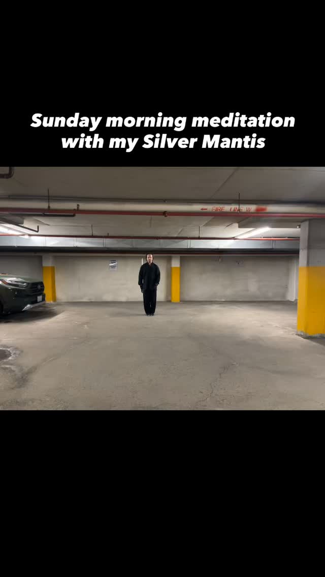 Sword practice for me is a spiritual event. My cutting jian is sharp enough to shave with. It takes blade awareness to a whole new level. #bodhilife