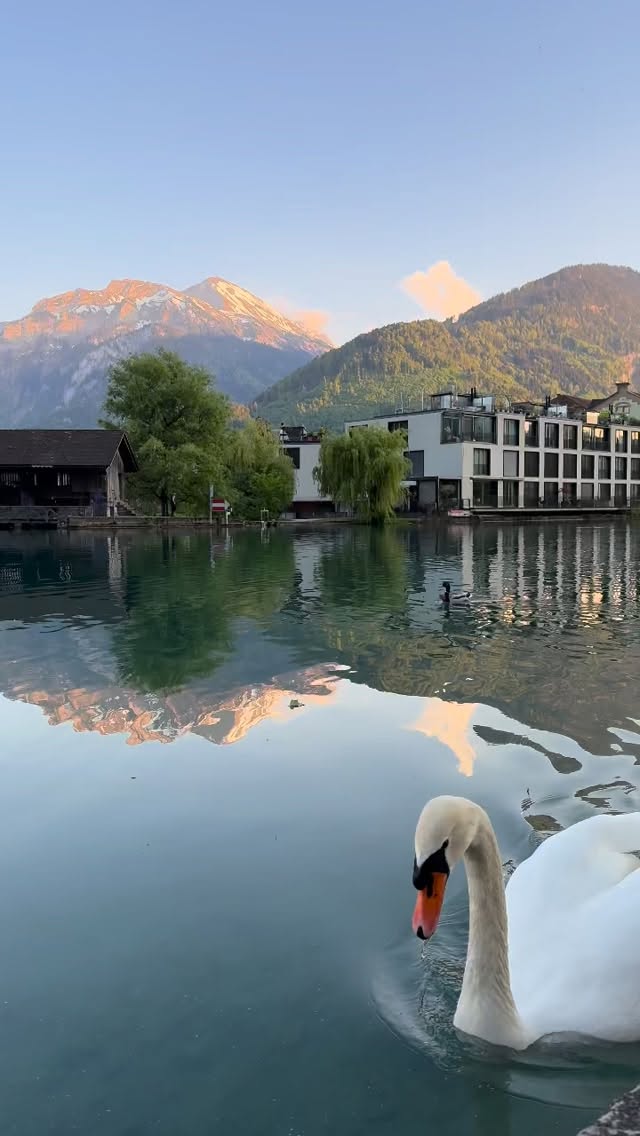Studio update: my brain has officially clocked out for the week, so instead of paint splatters, here’s a little Swiss Alps elegance gliding by .