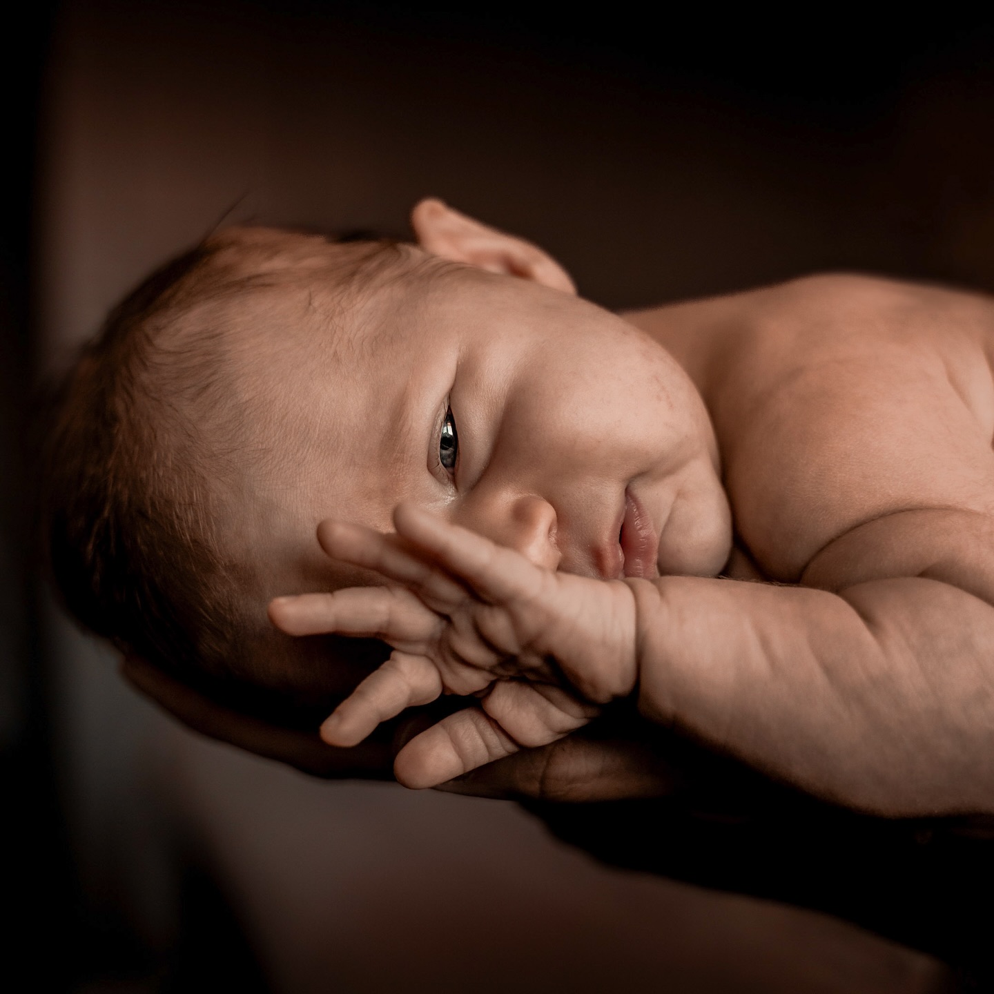 Zó kwetsbaar, klein en teder. 🤎 | Ben jij team ‘kleur ‘ of ‘zwart-wit’? Héél benieuwd.. 👇🏼
.
.
.
#familieshoot #familiefotograaf #familiefotografie #fotoshoot #gezinsfotografie #familyshoot #gezinsfotograaf #gezinsshoot #kinderfotografie #lifestylefotografie #newbornshoot #kinderfotograaf #fotograafwestbrabant #fotograafoosterhout #portretfotografie #zwangerschapsshoot #lifestylefotograaf #newborn #familiefoto #newbornfotografie #newbornfotograaf #lifestylephotography #babyshoot #fotograafgezocht #zwangerschapsfotografie #zwangerschapsfotograaf #zwangerschapsfoto #fotograafwestbrabant #fotograafoosterhout
