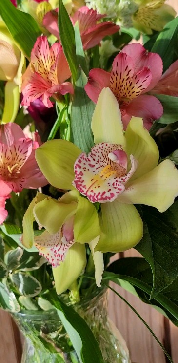 The sunshine had us in a summer mood today! 🌞 We know it isn't going to last, but would you like to be delusional with us? 🥰
#summerflowers #orchids #bouquetoftheday #flowershop #flowerchildfloral #shoplocalmn #internationalfallsmn