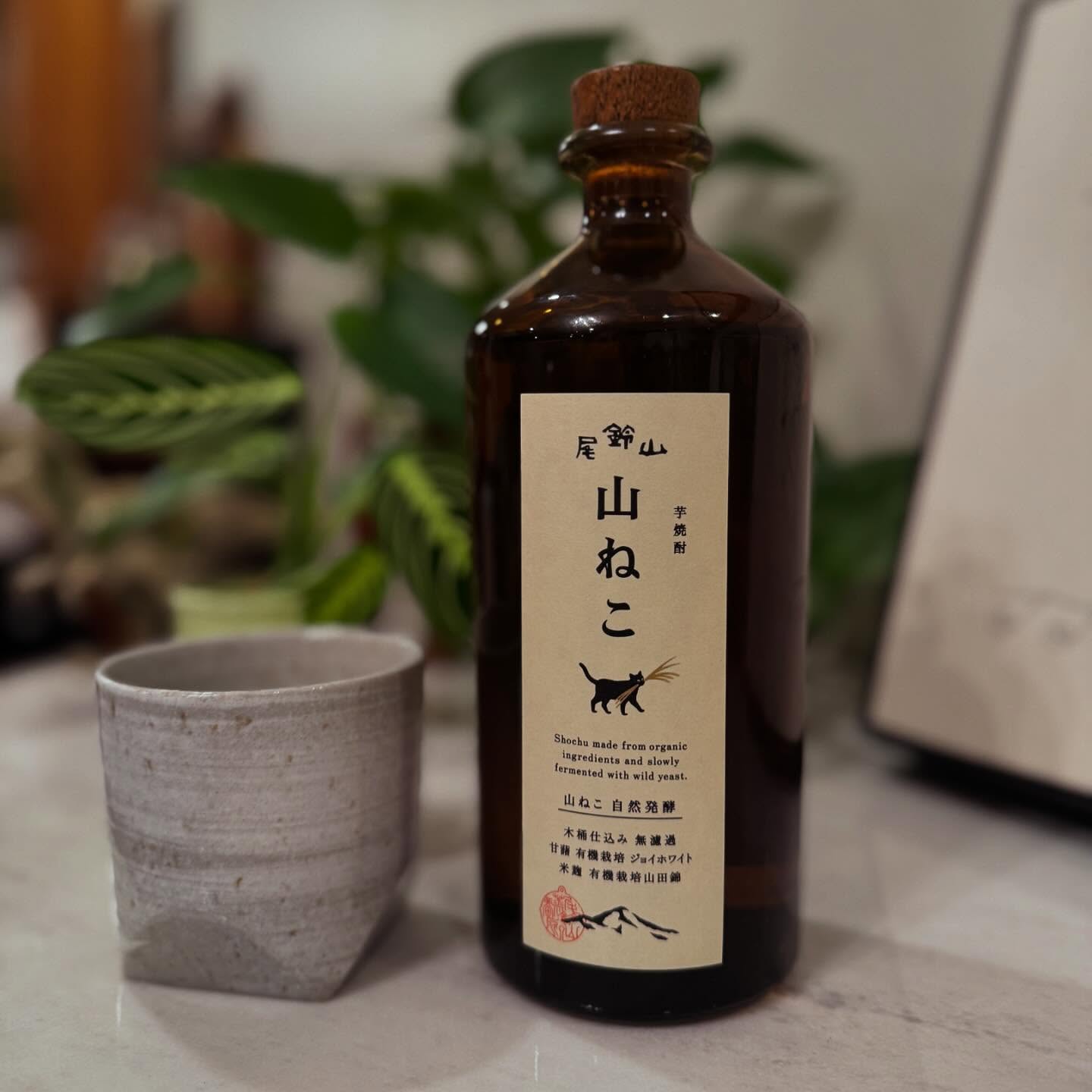 As the weather starts to finally get a bit crisper, I decided to finally crack this specialty bottle of imo shochu I snagged from my visit to @kurokihonten_osuzuyama earlier this year! Thanks Kuroki-san!
The Natural Fermentation ‘Yamaneko’ is made from ‘Joy White’ sweet potato and ‘Yamada Nishiki’ rice and bottled at 40%. The flavors are beautifully silky and bright with hints of peach, mango, and a caramel-like sweetness. A much more subdued style of spirit, all things considered.
I prefer to drink this spirit ‘Oyuwari’ style, meaning mixed with hot water. The floral aromas and delicate honey-like sweetness is all revealed with some hot water. If that is not your style, you can of course enjoy on the rocks or ‘Sodawari’ style with some chilled soda water!
#shōchū #travelbywine #throwbacktojapan #drinkbetter #miyazakiboys @jss_shochu @skurnikwines @agentalcohol
