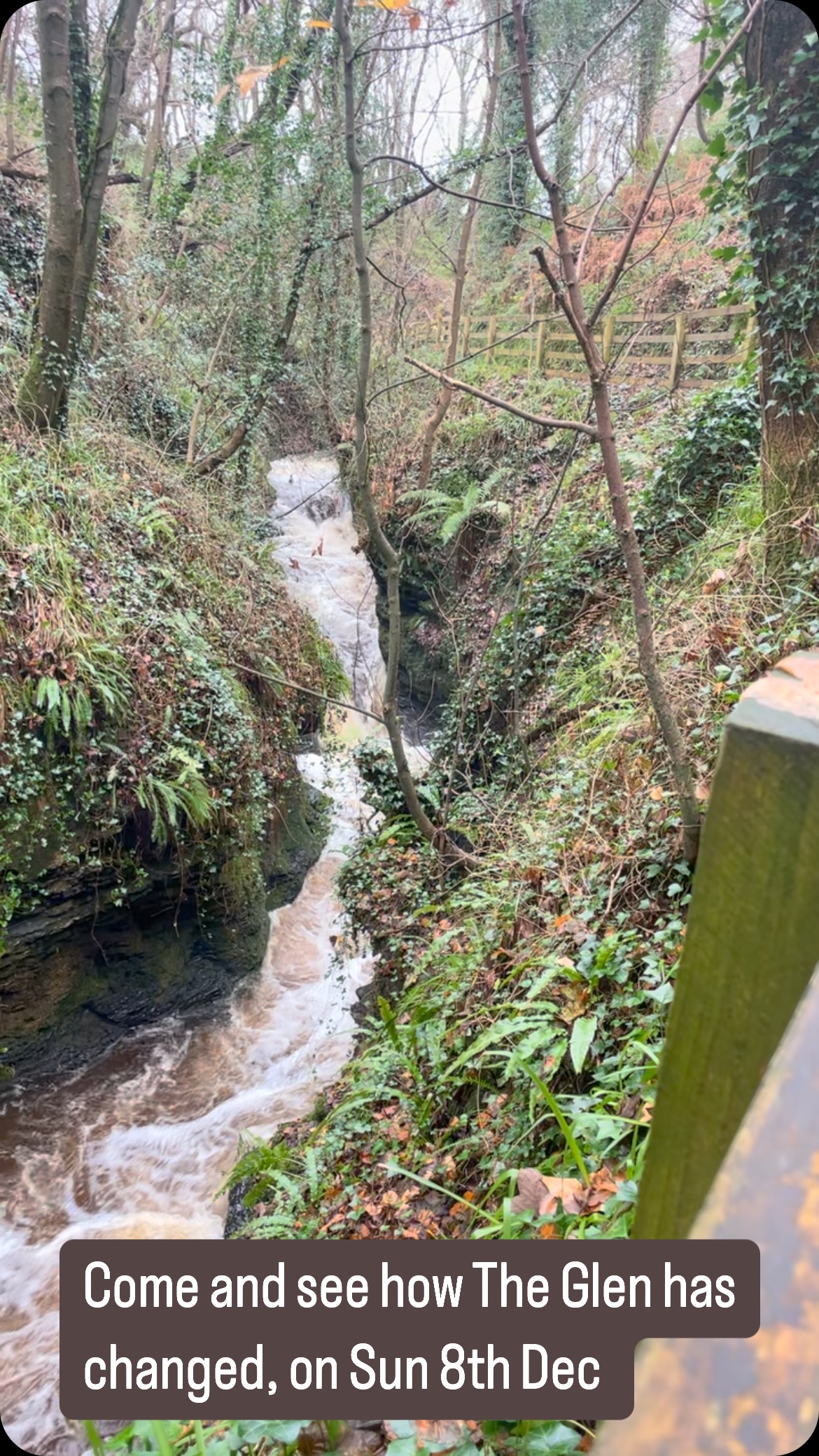 Riverwalk and talk on Sunday eight December from 12 to 2 o’clock. We will also be planting some trees.