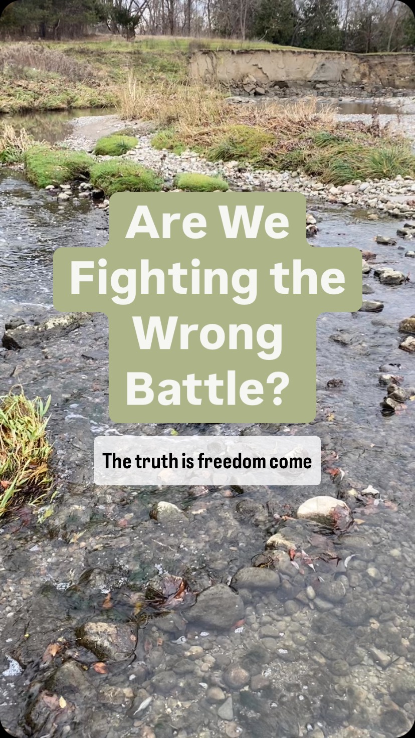 Your body is not at war. Germs are not the enemy. Symptoms aren’t failures—they’re signs of healing.
For centuries, we’ve been taught a fear-based narrative about our health: fight the germs, suppress the symptoms, eradicate the bad. But what if the bad isn’t bad at all? What if it’s your body’s brilliant way of healing?
Imagine what happens when you stop fighting your body and start listening to it. When you question the old stories, take responsibility, and choose options that truly free you. It’s not about rebellion; it’s about empowerment.
Yes, questioning these long-standing beliefs feels uncomfortable, even radical. But the reward is liberation—freedom from fear and the clarity to make choices that truly serve you.
So, here’s the real question: are you ready to stop battling your body and start trusting it?”
What does this make you think? Have you ever felt like there’s more to the story of health? Drop your thoughts below or reach out—I’d love to explore this with you. Expansion starts with curiosity. Let’s rethink this together.
#HealthFreedom #NaturalHealing #WellnessJourney #MindBodyConnection
#QuestionEverything #UnlearnAndRelearn #ExpandYourMind #TruthSeeker #BreakTheNarrative #RethinkHealth #ParadigmShift #HealthRedefined #ThinkOutsideTheBox #DisruptTheNorm
#InstaGood #ViralPost #ExplorePage #TrendingNow #BoostYourReach #ContentCreation #EngageWithMe #SocialMediaGrowth #FollowersWanted #InstaDaily