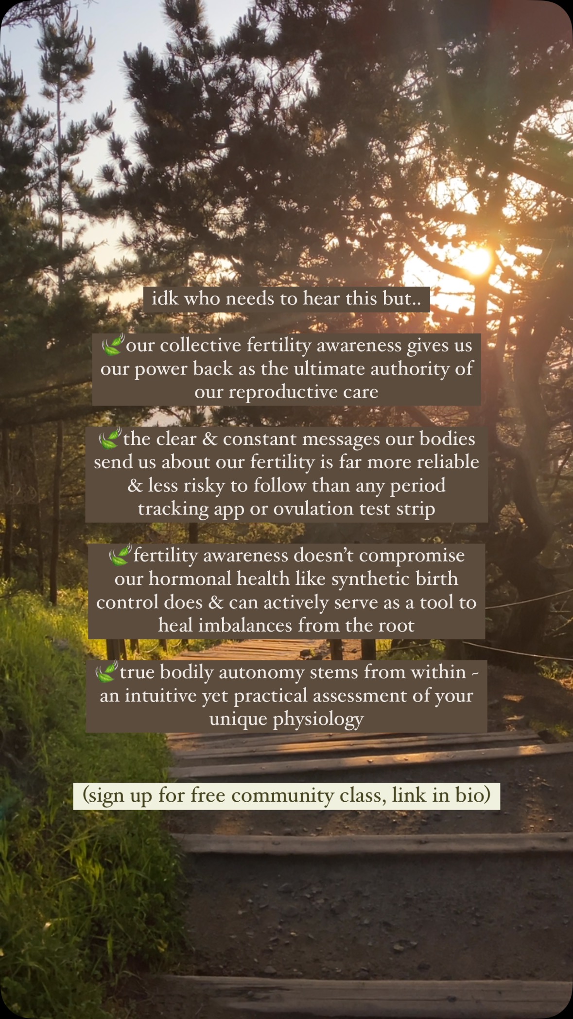 after years of synthetic birth control use and disconnect from my body & my cycle, my fertility awareness led me to reclaim my power as the authority and ultimate keeper of my reproductive health 🍃
join me in my upcoming community class, Fertility Awareness: a Catalyst for Collective Liberation as a means to free ourselves from relying on the medical industrial complex for our reproductive health & wellbeing.
we meet december 4th, @ 2PM EST via zoom
link in bio 🍃
#fertilityawareness #wombhealing #wombwisdom #birthcontrolproblems #holisitichealing #fertility