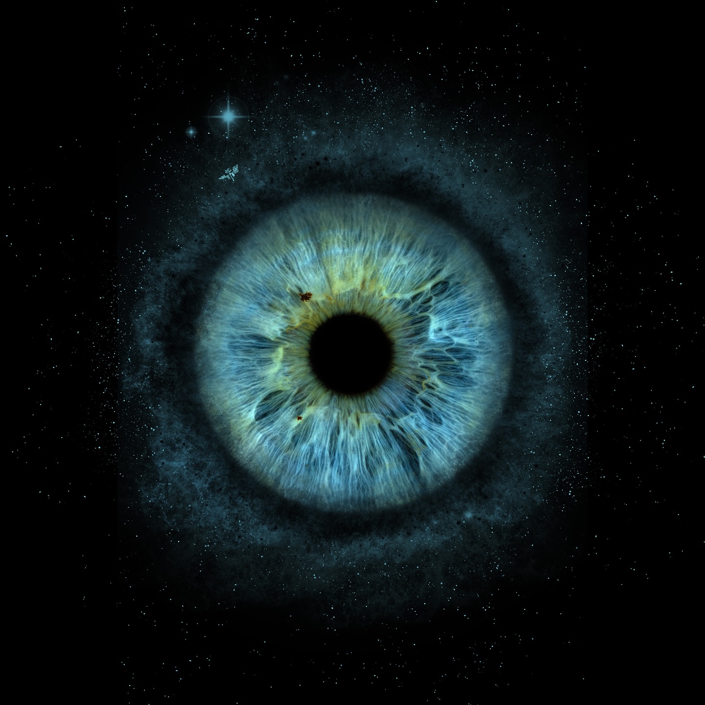 #eyemacro #irisart #eyecloseup #eyephotography #macroshot #designinspiration #eyecolors #graphicdesign #irisphotography #eyepatterns #macroart #graphicart #colorfuliris #macrography #irisdetails #digitaldesign #macrophoto #colorfulart #irislove #irisdetails
#MacroEyes #EyesOfInstagram
#EyePhotography
#Oslo #irisoslo #thingstodoinoslo #norge #irisgallerinorge #norskirisgalleri #norsk #fyp