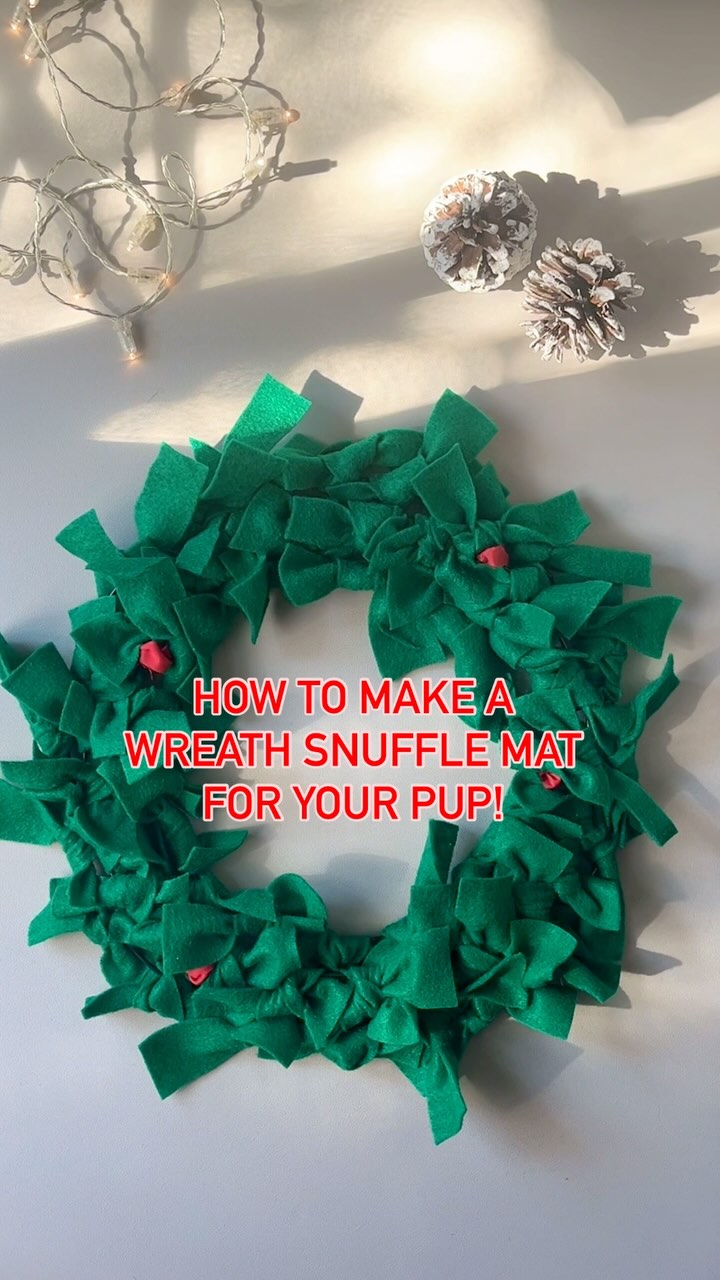 Give your pup the gift of enrichment with this super easy wreath snuffle mat craft! (Starring: Minnie + Roxie)
Workshop: December 15th!
.
.
.
#petcraft #dogchristmasgift #handmade #diypets