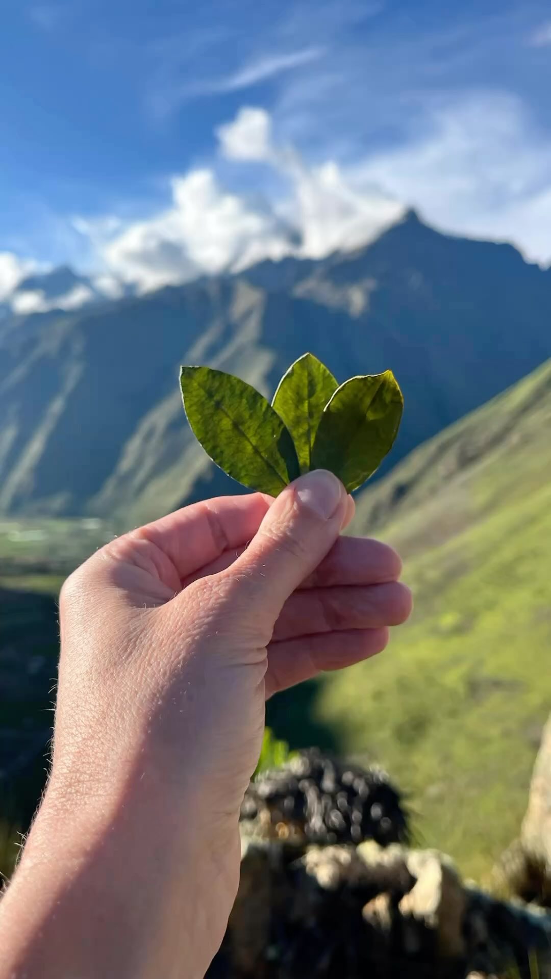 Comment mettre des mots sur une expérience qui va bien au-delà d’un simple voyage ? Une immersion humaine et spirituelle, sur les traces des Incas, qui résonne au plus profond du corps, de l’âme et de l’esprit.
Nous rentrons de 10
Jours dans la Vallée Sacrée , allégées,  vivifiées et nourries d’une énergie pure, vivante et emplie d’Amour.
✨ Cérémonie de la Coca avec le Curandero Don Carlos ✨ 
#VoyageSacré #rdvets
#ÉnergieVibrante #Cérémonie #Pérou #incas #apus #voyagerautrement #voyagesinterieurs