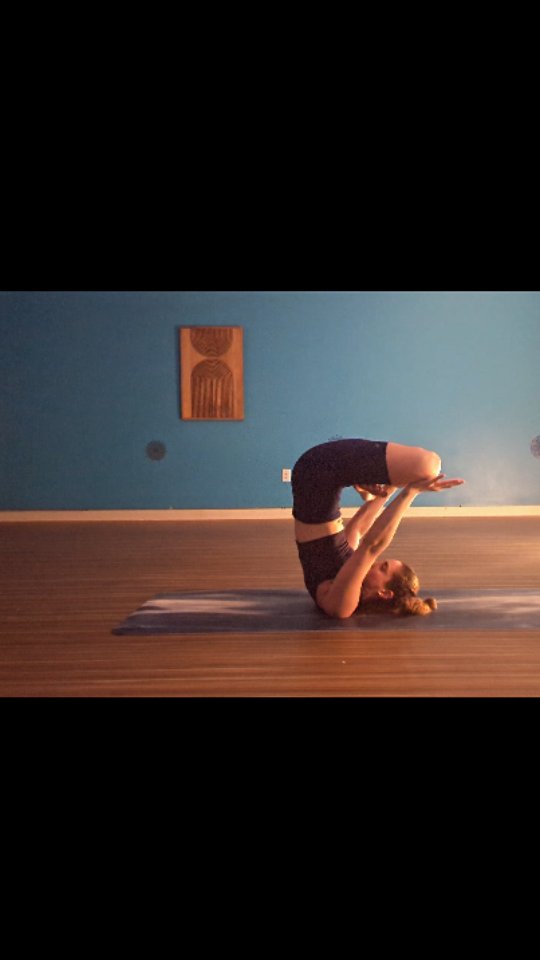 ☀️Once you are upside down, your perspective plays significant mind games where you have to learn to what degree your body is actually in alignment. With that being said, I am content with this posture and the balance I have achieved by breathing through it. 😌
Teaching:
Saturday, Salty Turtle in Raleigh 10:45am-11:45am + hangout time with some brews, or my favorite, the Five Flowers 😎 @saltyturtleraleigh
Sunday, LG Fitness for All 11am-12:15pm. 💜☯️ @lgfitgym_fitnessforall
.
See you soon!
.
.
#yoga #padma #lotus #upsidedown #inversions #padmasana #fishpose #yogini #raleighevents #raleighyoga #yogini #aum #yogaeverydaydamnday