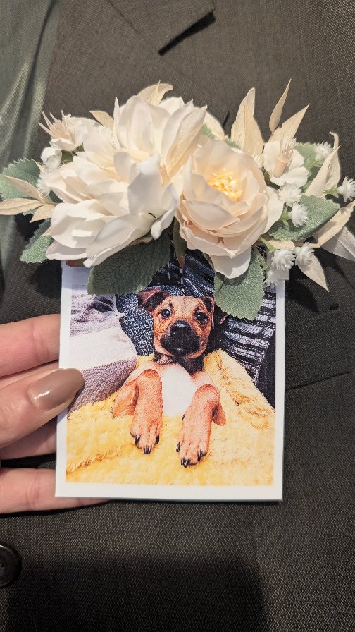 The pooch pockets are so popular!! Think that's what I'm going to call them from now on 🤣