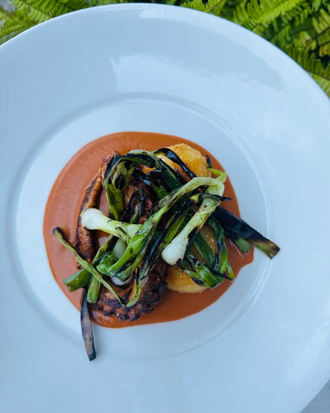 We are Finally Opening Tonight!!!! 5p-10p
Grab your friends and stop by!!
Enjoy one of our favorite Platos.
PULPO ASADO
Grilled Octopus • Canarian Mojo • Cebollitas • Yuca Fritters
#eatbaru #octopus #magazinestreet #latincaribbean #latinrestaurant #foodie #neworleans