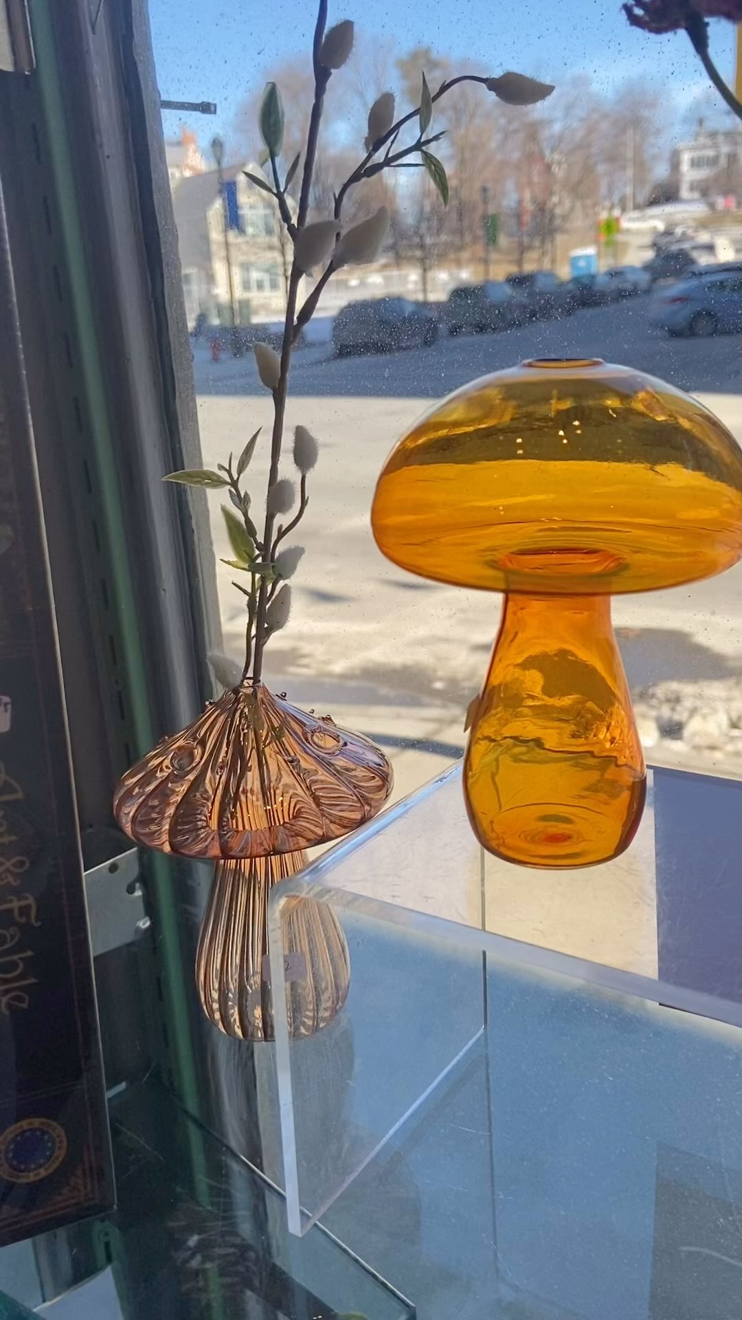 Glass mushroom vases are my new favorite thing!! so sweet, and they look beautiful in the window winter winds are a blowin’. …but soon spring will come, and you’ll be happy to have a little vase to put the first flowers of springtime in… think of the daffodil!! #mainstreetmiddlebury #womanownedbusiness #bettermiddleburypartnership #springwillcome #magic #weemushrooms #glassmushroom