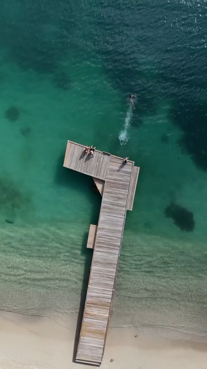 Stepping into a Monday from The Inn's private jetty.
Swim, relax, or take a jump off our dock into the clear and warm Caribbean waters.
To check availability for our boutique resort located in the heart of English Harbour, Antigua, see our website.
#antigua #englishharbour #268 #antiguahotel #antiguaandbarbuda #englishharbourhotel
