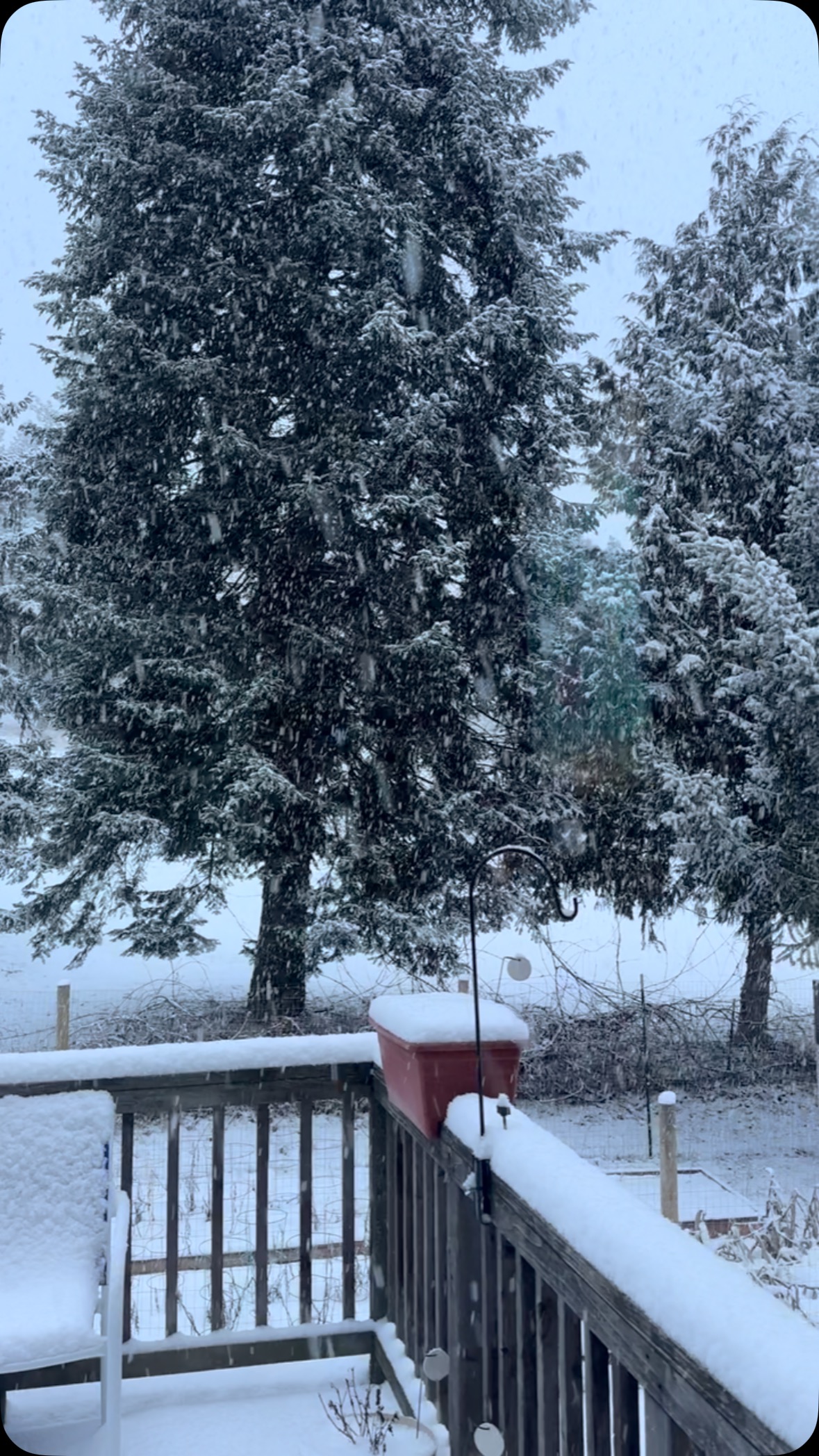 Finally snowing! Question is will we still have snow tonight? Last couple days we’ve woken up to snow and by afternoon it’s sunny and melted.