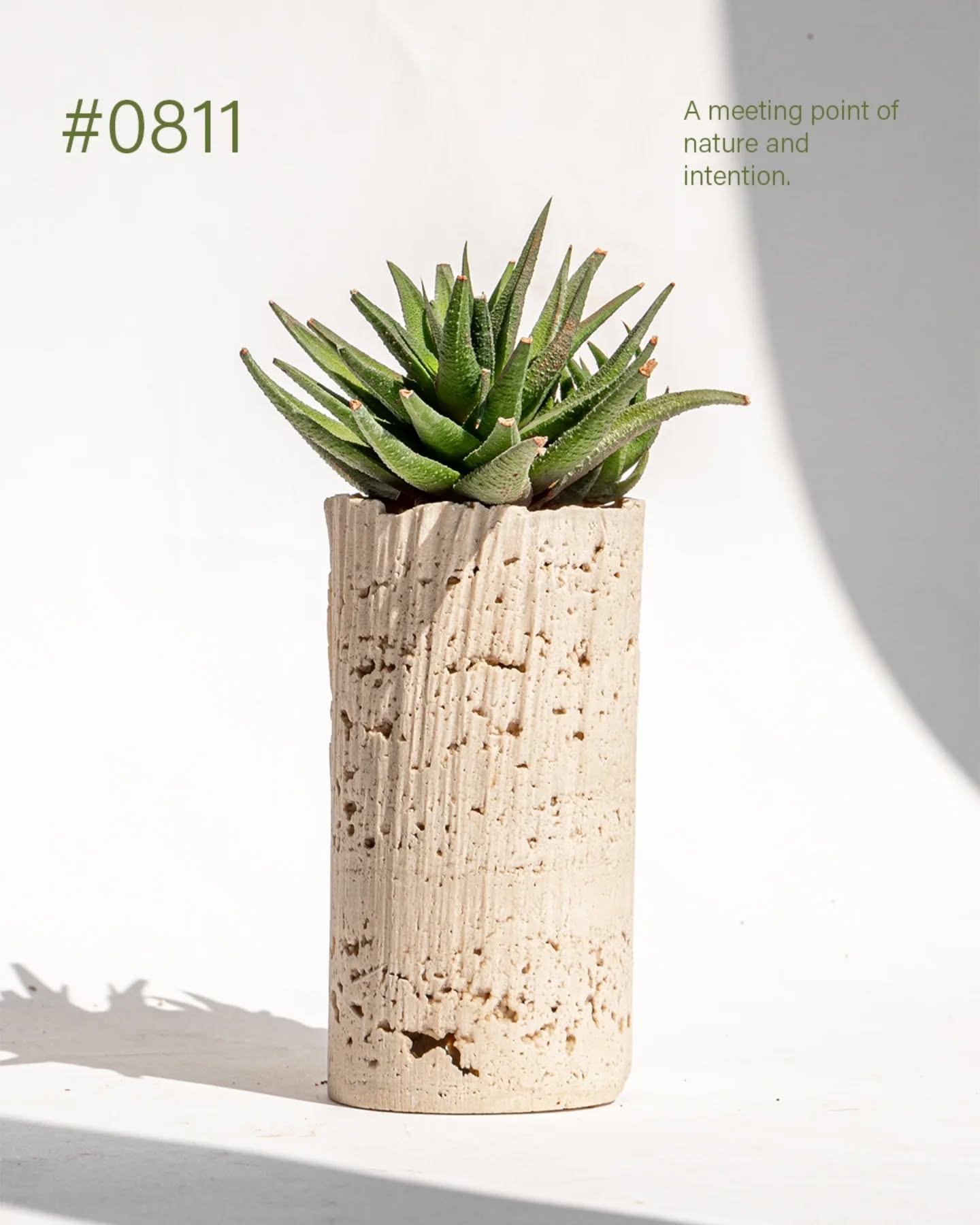 Life grows when there is space is grow more. Raw, unpolished textures cradle spaces, blending the organic with the intention of sustainability.
.
.
.
.
#jaccana #jaccanacreates #sustainability #craftshmanship #sculpture #art #artistry #handmade #premium #abstract #material #objects #travertine #details