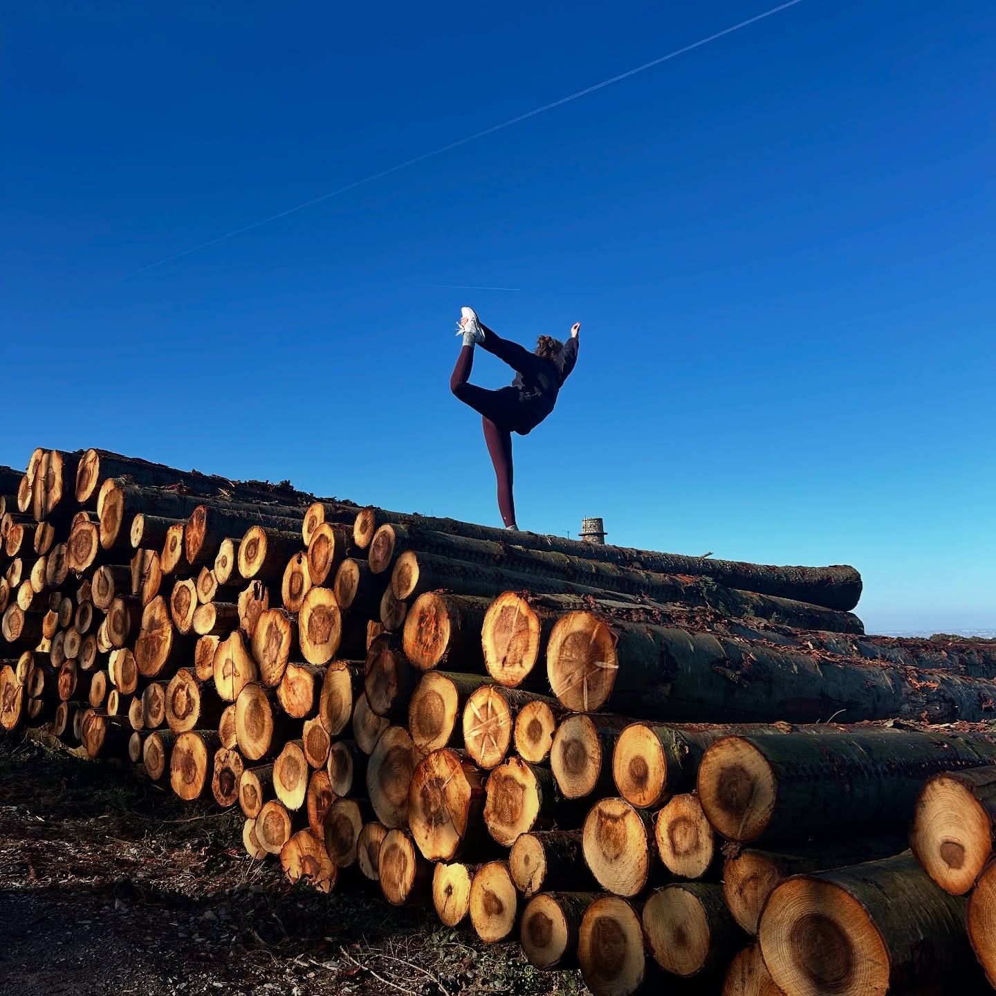 Spring is in the air 💐
#spring #yoga #ireland #dancerpose #natarajasana
