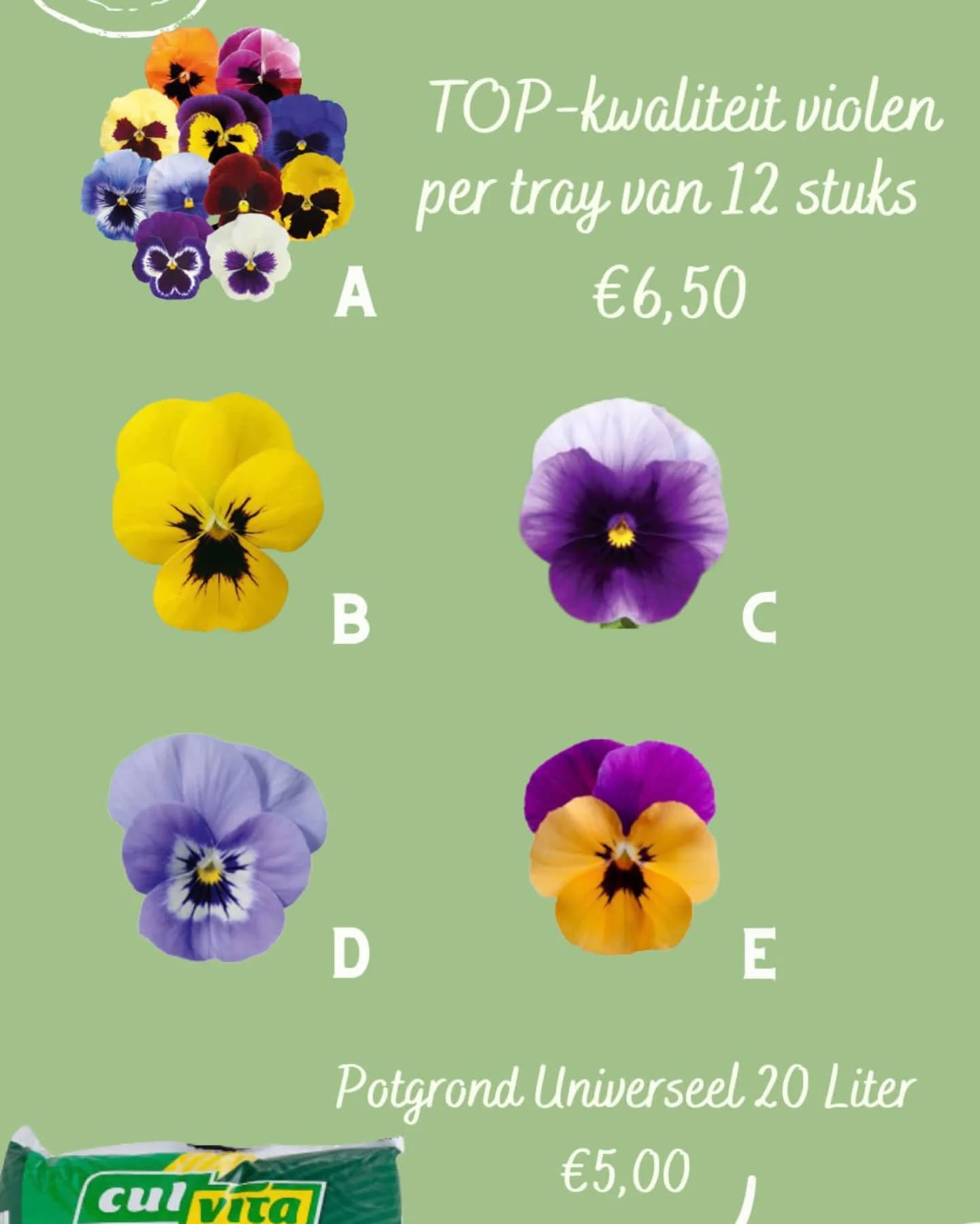 Violenactie 2025
In maart gaan we het veld weer op en begint de bekende violenactie. Net als vorig jaar de violen-groot-mix, een combinatie van verschillende kleuren violen. De hangpotten zijn niet meer beschikbaar maar als je nog hangpotten van vorig jaar hebt, kun je deze zelf weer volzetten!
Trays zijn 12 plantjes per tray (€ 6,50) en de potgrond is 20 liter per zak (€ 5,00). Met de opbrengst gaan we ditmaal de vloer in het clubhuis aanpakken.
Ophalen en betalen kan op zaterdag 15 maart van 09:00 uur tot 16:00 uur bij MHV Evergreen, net als afgelopen jaar.
Voer in onderstaande velden je gegevens in en het aantal per optie.
Bestellen kan tot en met 13 maart.
https://forms.gle/jvtEdeVZFCVfzSNY8