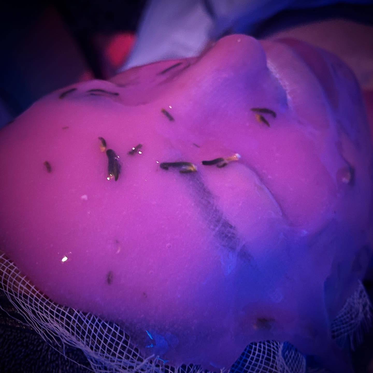 IT’S SO DRY
With the weather and climate here, pretty much every facial I am incorporating hydration. As of late though? It seems to be the biggest concern I have been working with each and every one of our guests.
Dry skin can definitely be treated. Dry skin sometimes may also be mistaken for dehydration. What we definitely know is that dry skin is not great for anti-aging and our skin barrier.
Facial to book for? We recommend our basic Beauty Day or look into our ‘HYDRA’ series of facials.
Make sure you also pick up our brand new SOS Sleeping Mask to use for your night time regimen along with the AGT Hydro Essence to boost your skin with hyaluronic acid.
If you want something stronger, opt for our ampoule serums that are heavily concentrated to target increasing moisture for your skin from the inside out.
.
.
#yyc #yycnow #yycbusiness #yyclocal #calgarybeauty #yycspa #yycsalon #yycfacials #yycbrows #yycstylist #yycshopping #calgarysmallbusiness #yycbeauty #yycesthetics #yycfacial #calgaryhairstylist #yychair #yycsmallbiz #yycsmallbusiness #yycgirls #yycbalayage #yycskincare #calgary #yyclocal #yychomebasedbusiness #yychomebasedsalon #yychomebasedesthetics #yycwaxing #yycmen #yycskin