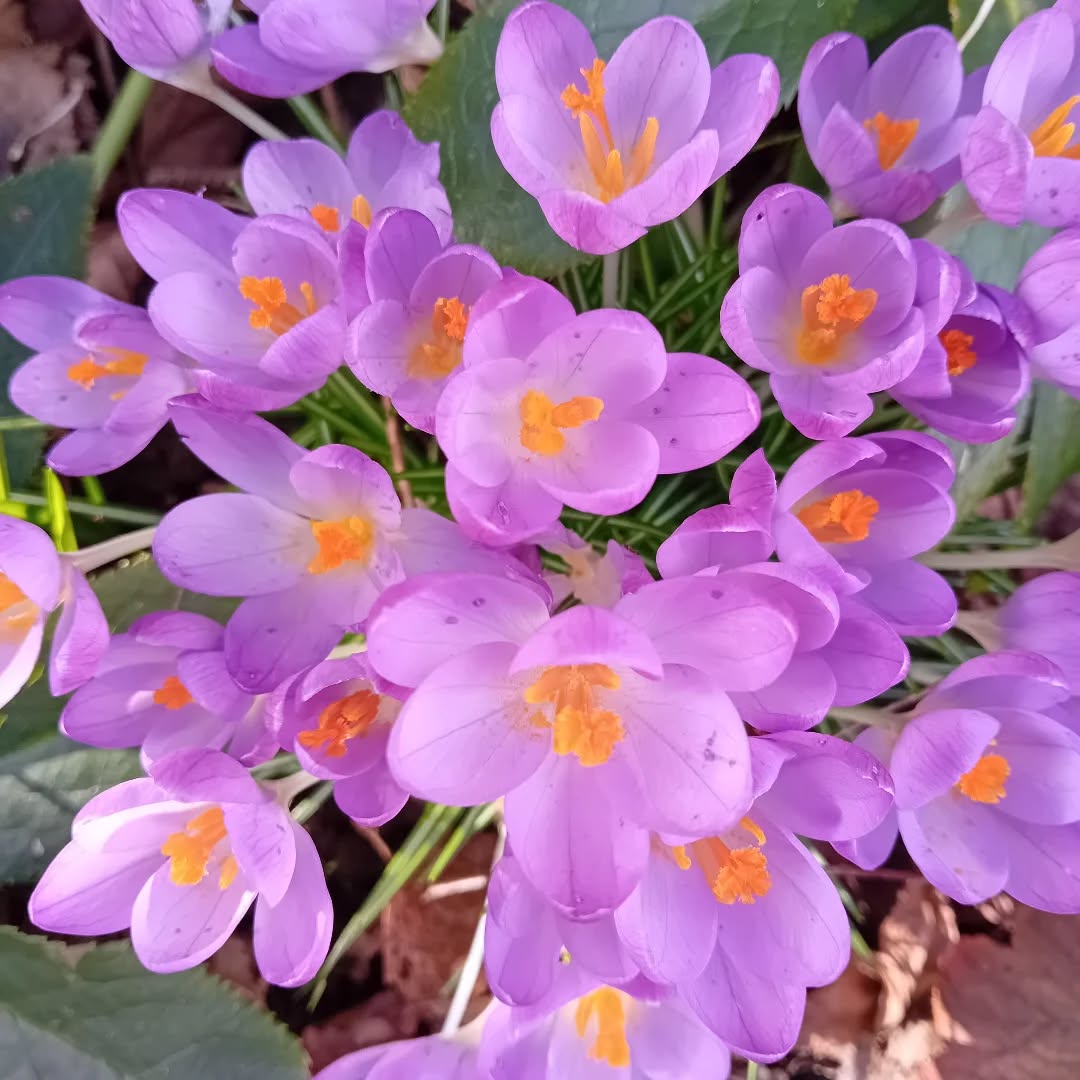 Lots of colour starting to come out - if you can see through the rain!