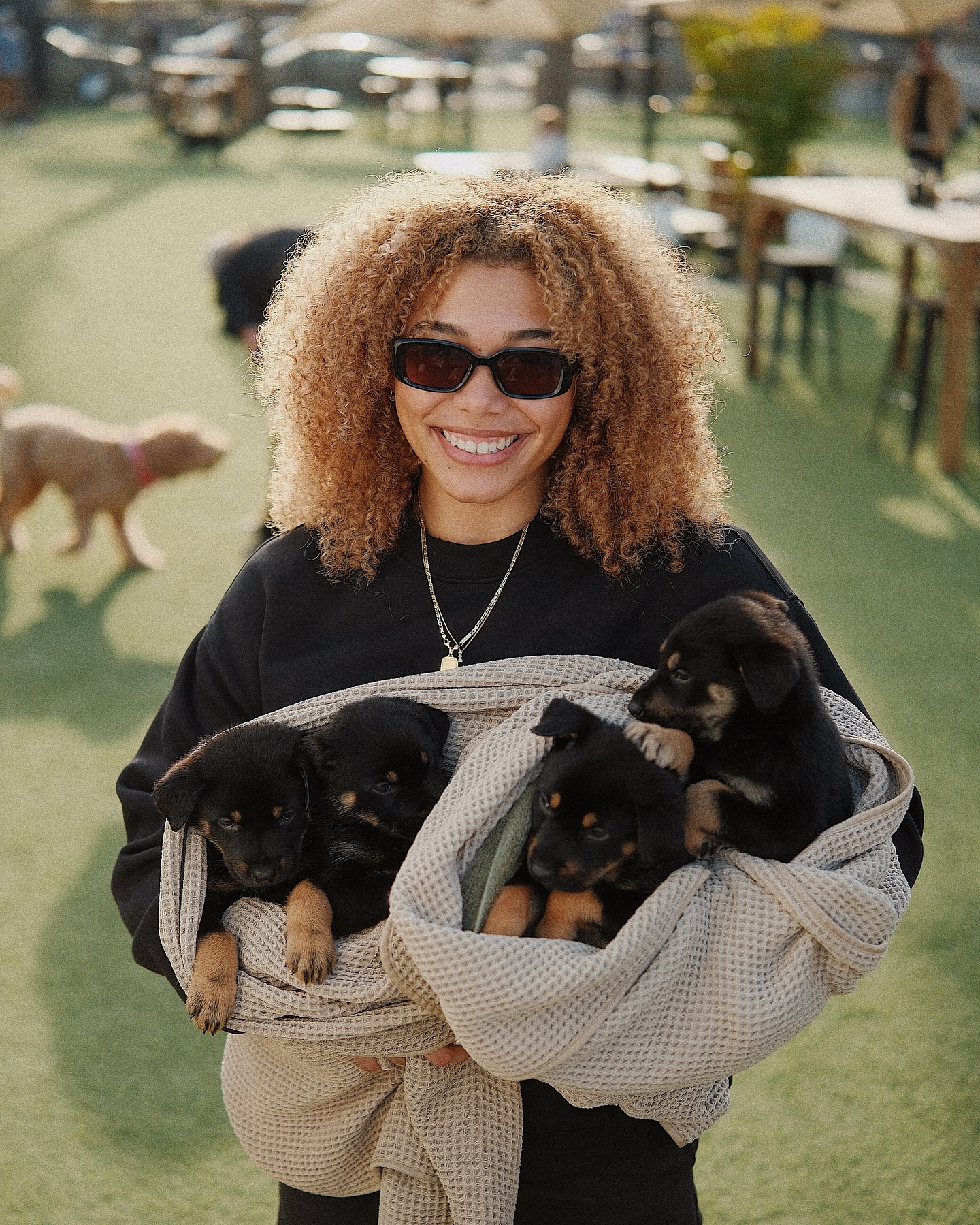 An unexpected delivery this week, four Rottie X pups found their way into our teams arms.
They still remain nameless so we’re taking name suggestions in the comments ☺️
We’re looking for a stay at home fosters for at least the next 2 weeks - experienced with litters and committed to their care via our care instructions.
we are currently sifting through some DM’s so thank you to those who have already reached out!
Rottweiler X puppies (currently 7 weeks of age) eating solid food, healthy, vet checked, first round of vaccines and all playful lovely pups! Ideally we keep them together but will consider them being fostered in pairs.
Thank you to the club for your ongoing support! and to the team that rolled up their sleeves yesterday to get these pups into care. ❤️🩹