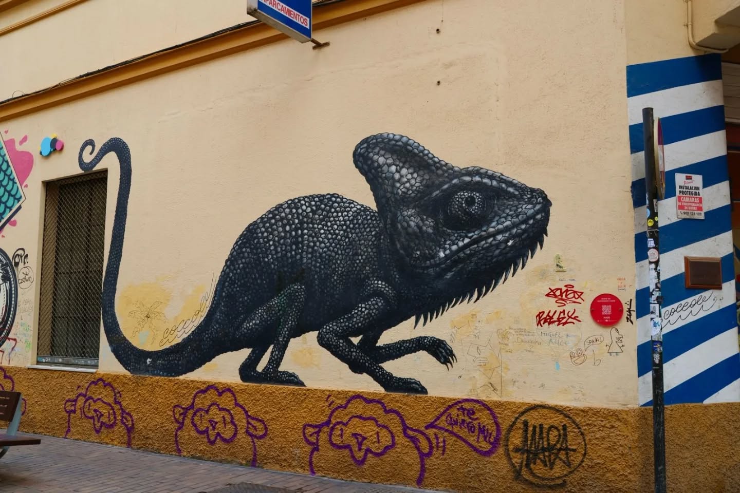 Más arte, más fotos
#photooftheday