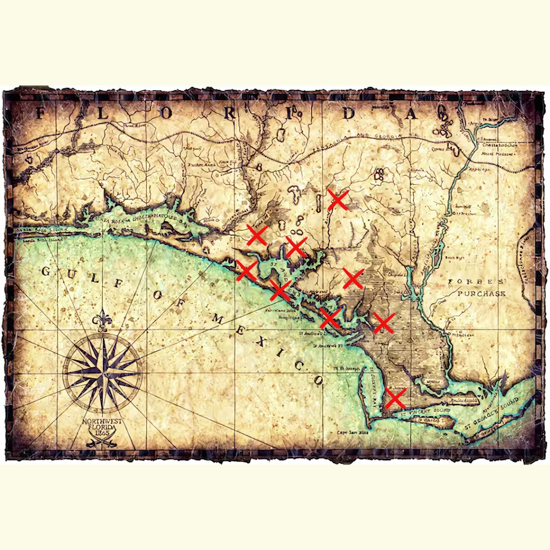 Happy to serve NWFL! 🌞
From Destin to Cape San Blas and the surrounding areas!
Send us a DM or shoot us a text at 850-852-0344.