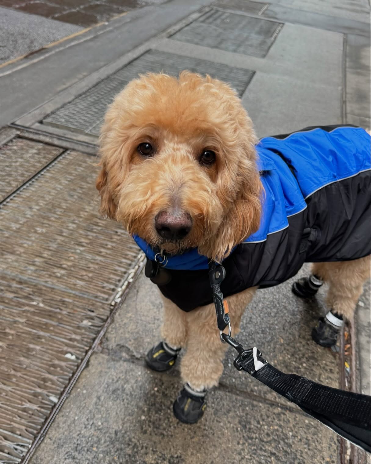 1โฆ2โฆ3โฆCHEESE๐ธ