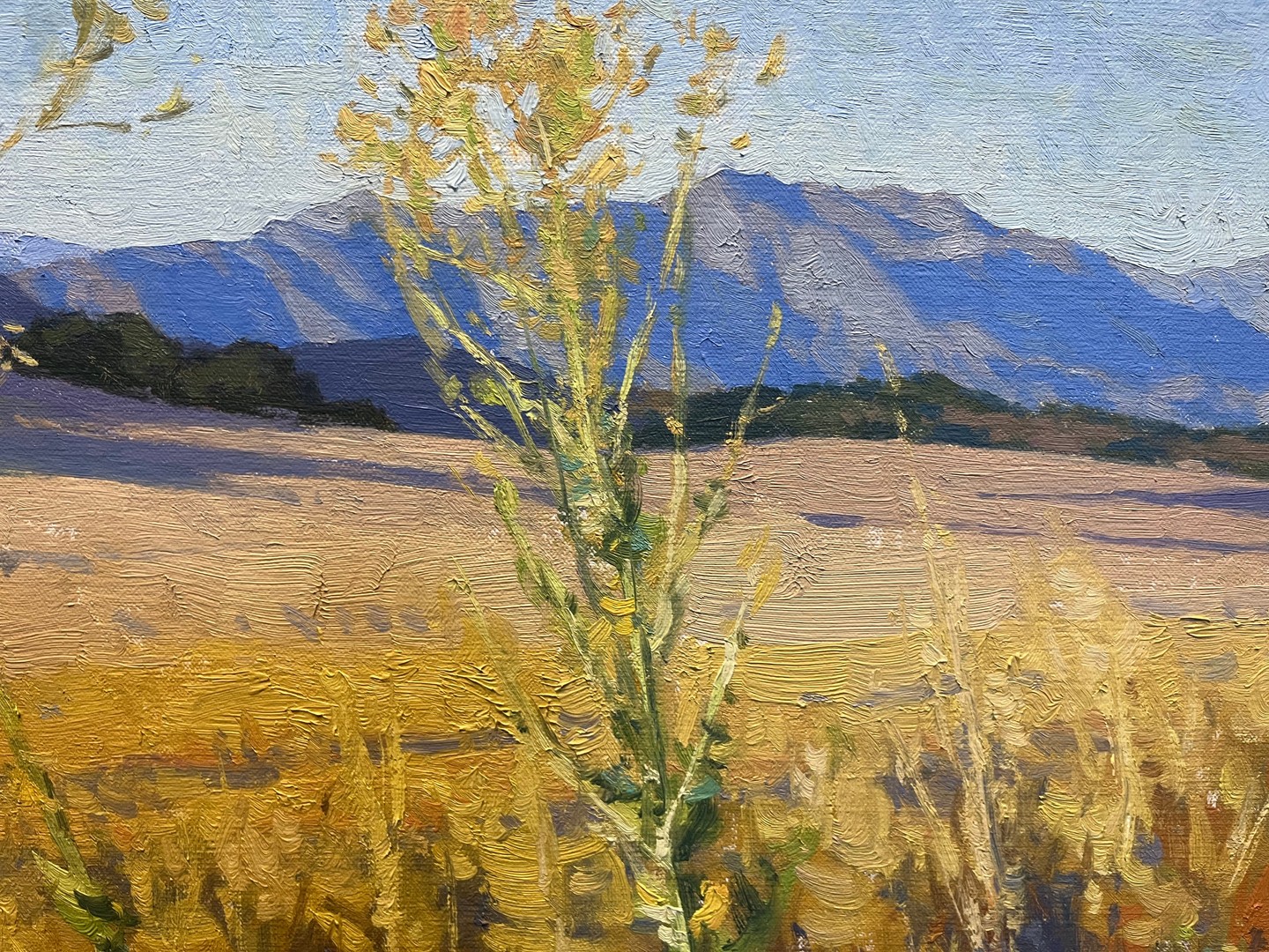 "In midsummer, the colors of California have transformed from vibrant spring greens to the dry hues of our golden state. This painting is an exploration of that golden glow across the Ojai Valley."
—Dan Schultz @danschultzart
"Golden Fields”, oil on panel, 16” x 20”
Painting available through American Legacy Fine Arts.
#pleinair #landscapepainting #painting #artgallery #contemporarytraditionalart #contemporaryart #artcollection #contemporaryartist #artforsale #artcollector #artcollectors #artforthehome #originalart #oilpainting #buyart #artcurator #fineart #paintings #painter #californiaartist #californiaart #californiaartists